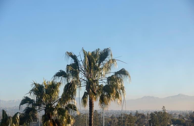 Hotel Hilton Garden Angeles Airport 3*
